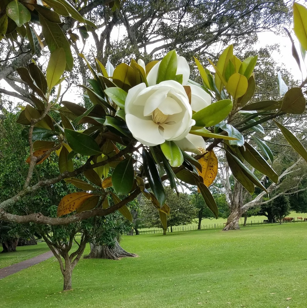 Meet your Posher, Ash